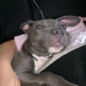 Meet your Posher, Renee